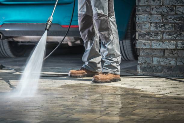 Best Gutter Cleaning  in Onarga, IL
