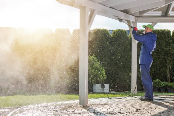 Best Solar Panel Cleaning  in Onarga, IL